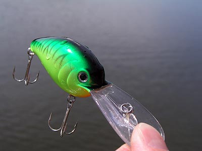 Strike Pro Arc Minnow 120 EG-136F fishing lures original range of colors