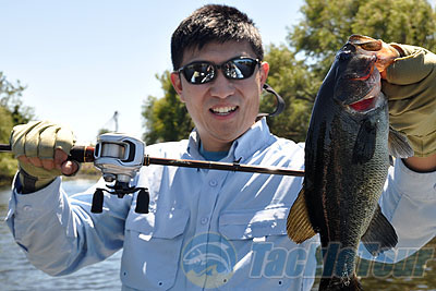 Daiwa T3 baitcasting reel review, T-Wing casting system