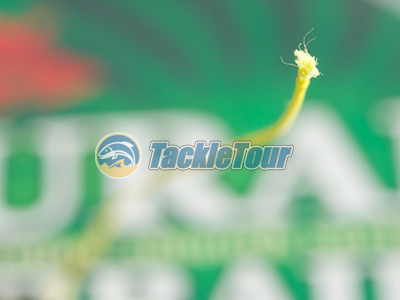 Sufix 832 50lb review Clearance