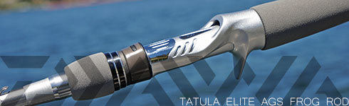Daiwa Tatula Elite AGS 7'4" Heavy Fast Casting Rod TAEL741HFB-AGS 