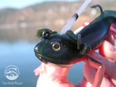 River2Sea Nest Raider 5 inch Rigged Soft Plastic Lizard Bass Fishing Lure 