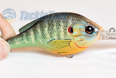 Live Target Crankbait Pumpkinseed Sunfish Any Size Matte Gloss Koppers Lure 