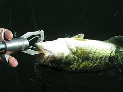 thumbnail image 2 of Rapala Digital Fish Gripper Scale - 227863 Stainless Steel Fishing Scale 2 of 14