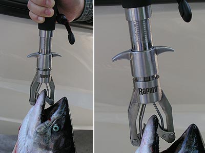 thumbnail image 2 of Rapala Digital Fish Gripper Scale - 227863 Stainless Steel Fishing Scale 2 of 14