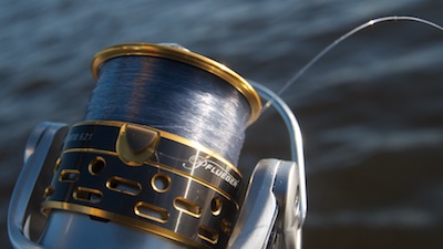 PLine Original Copolymer Fishing Line Product Review