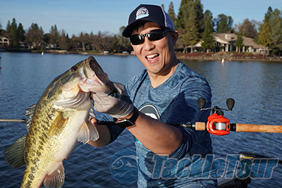bass assasin lures 5