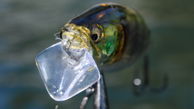 Megabass I-Jack Topwater Wake Bait Product Review