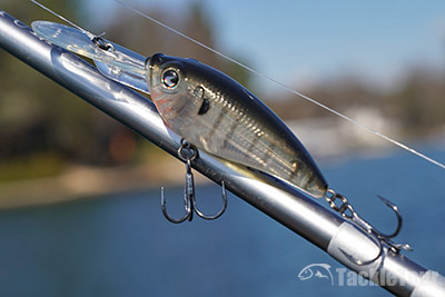 River2Sea Tactical Bassin' Tactical DD Crankbait review #r2stacticalddcrank  #tacticalddcrankbait #tacticalbassincrankbait