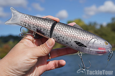 Baitsanity Antidote TUG Swimbait Review #baitsanitysantidotetug