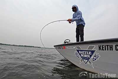 Fenwick is Back! A First Look at the Completely Refreshed Lineup from Eagle  to World Class - TackleTour